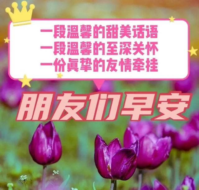 美好时光的句子，优美又简短的句子（早晨问安：一路向前）