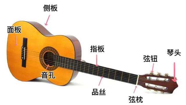 吉他分几种类型，吉他分几种类型图片（认识吉他、种类和选购）