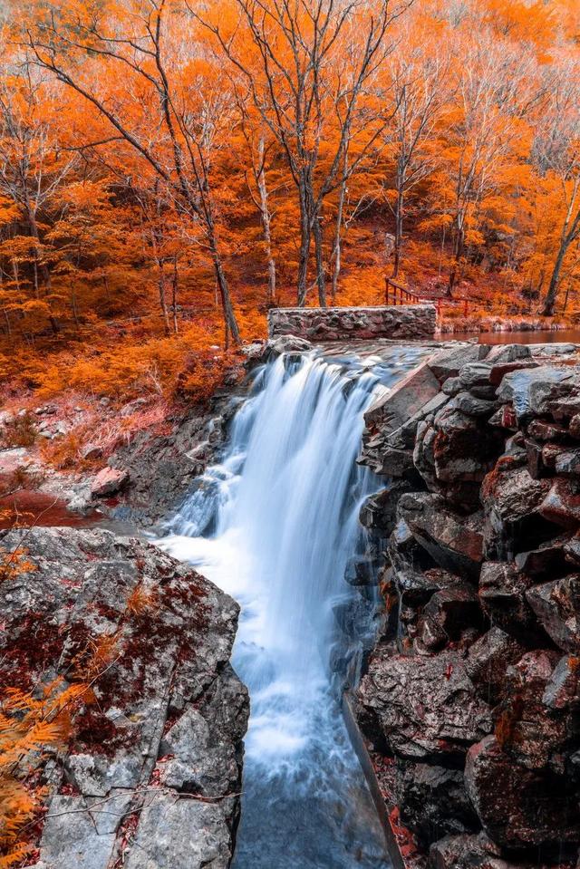 本溪特色美食有哪些，本溪特色美食有哪些小吃（国内唯一媲美北疆的地方）