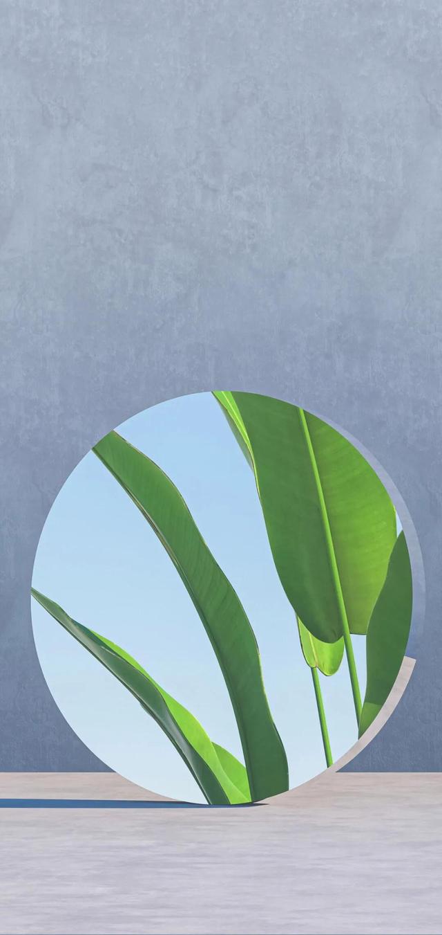 手机壁纸高清高级感，自带高级感的手机壁纸 超清