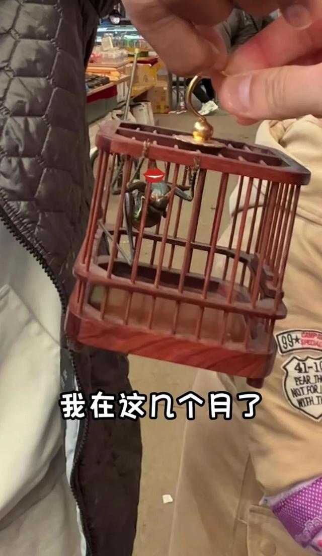 史蒂芬马布里近况如何，最新消息：马布里心情大好