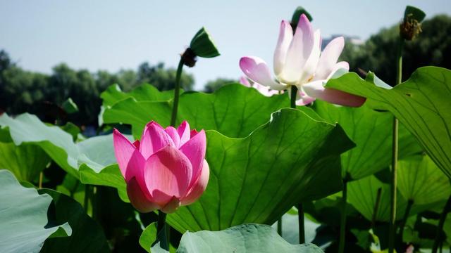 北京游玩攻略，北京攻略3日游自助游（这篇攻略全部告诉你）