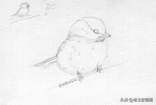 铅笔画入门教程，铅笔画萌少女入门教程（教你用铅笔画羽毛的质感）