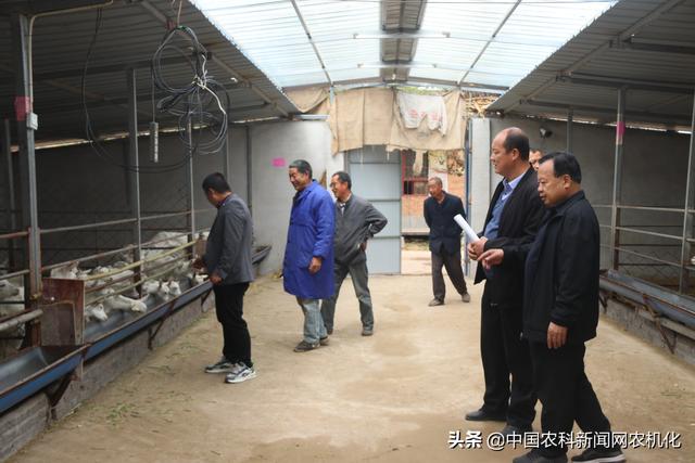 羊奶粉哪个好，羊奶粉哪个好吸收（千阳县莎能奶山羊“借羊还羊”模式带动产业发展）