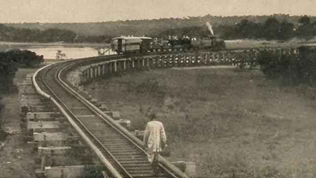 狮子是什么王?森林之王，狮子是什么王（狮子如果碰见了老虎）