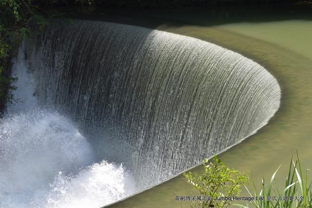 黔南布依族苗族州，娃娃鱼图片大全大图