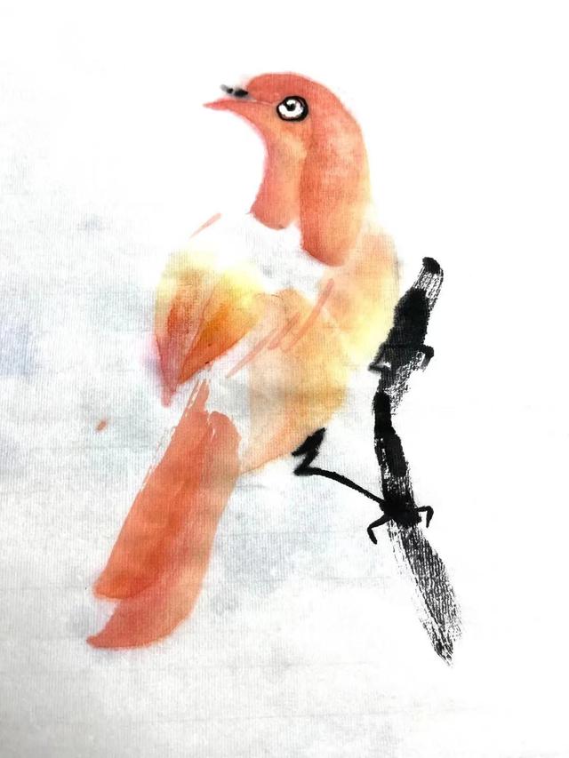 简单的鸟怎么画，如何画简易的小鸟（画家刘华：鸟的画法）