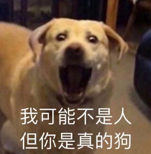 太狗了是什么意思，“你是真的狗”什么梗