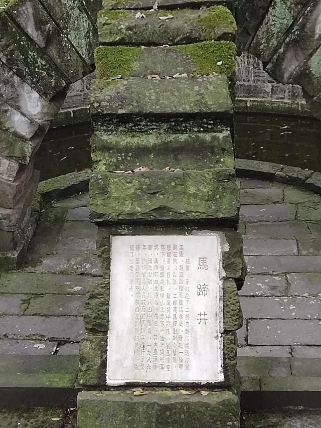 歌乐山森林公园，重庆旅游必去景点（歌乐山国家森林公园）