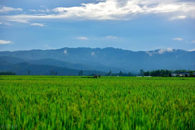 缘分的句子经典，缘份的句子经典（相遇即是缘分的经典句子建议转发）