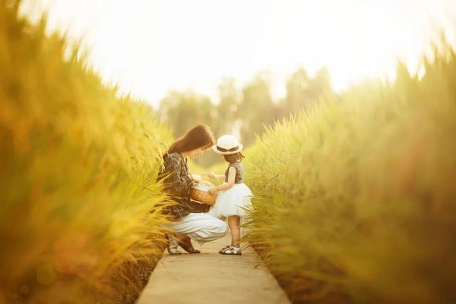 看书的小女孩怎么画，看书的小女孩怎么画 漂亮（一个家庭最好的模样）