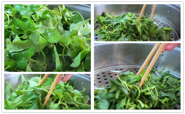 鱼腥草怎么煮水喝，乡下老郎中教我一道鱼腥草茶