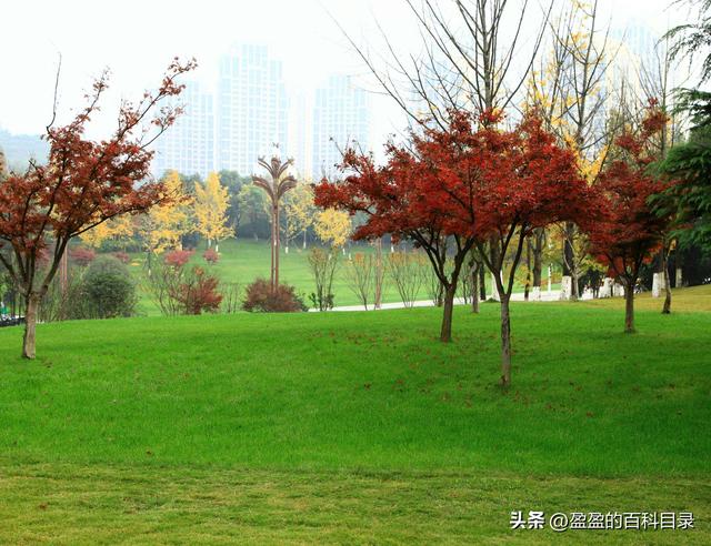 今日重庆公园游玩，这7个公园值得一去