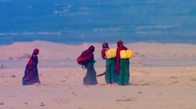 非洲的气温大多在多少度，非洲的平均气温在多少度以上（却仍有一群人在此生存）