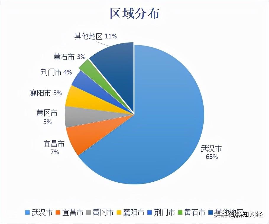 湖北九州通（盘点2021）