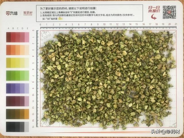 鲜金钱白花蛇，金钱白花蛇产地（当归、川牛膝、蒺藜、金钱白花蛇、佛手、地黄、连翘等行情简析）
