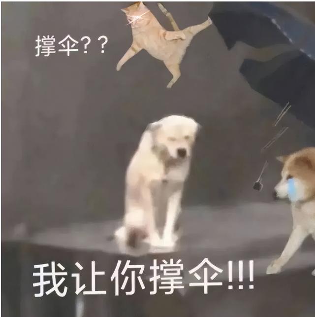 抖音炸了是什么梗，00后老师开始撕伞了