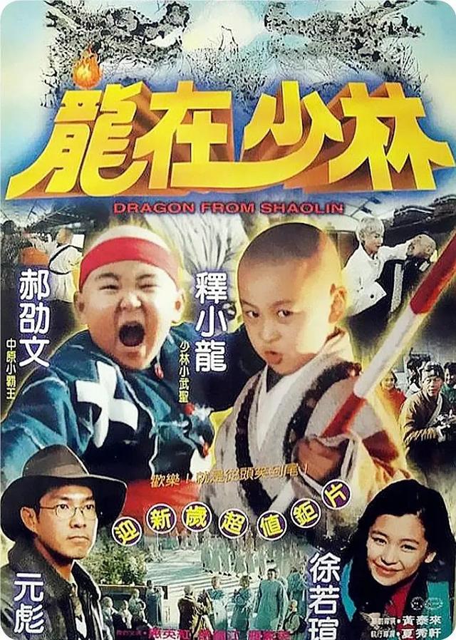 释小龙电影全集(释小龙新电影)-宅配通娱网