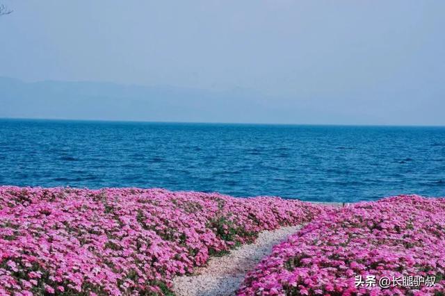 抚仙湖要门票吗，抚仙湖攻略一日游（挖到李健超爱的神仙小城）