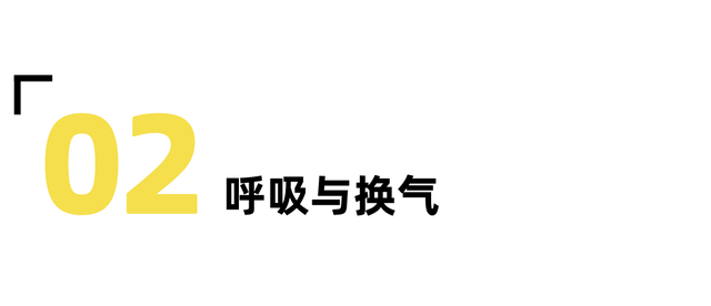 新手游泳怎么游，新手游泳怎么游的快（第一次下水，4步当天学会游泳）