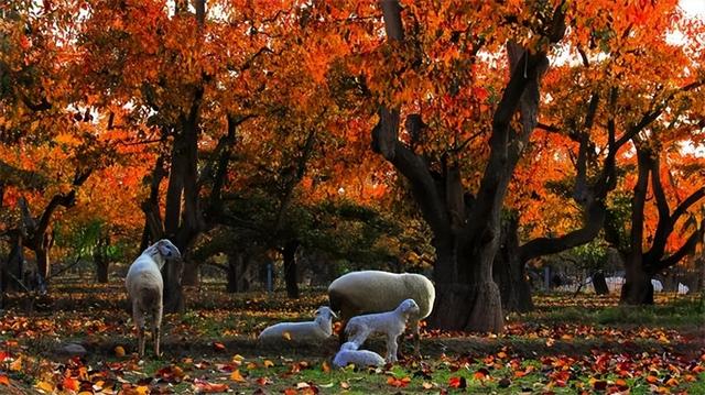 八月份适合去哪里旅游，8月份旅游去哪里好玩（甘肃推广发布“金九银十”八大旅游精品线路）
