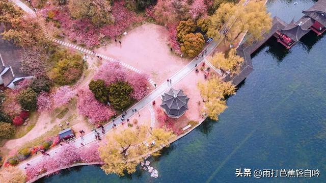 鸡鸣寺要门票吗，鸡鸣寺要预约吗（2023年南京吃住行玩超全攻略）