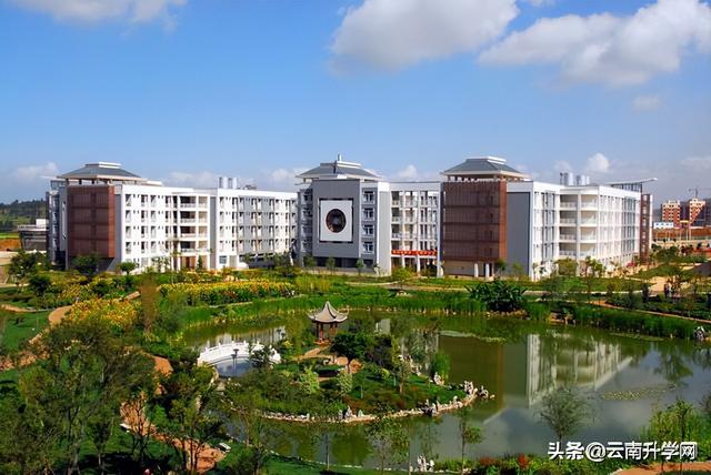 云南中医药大学继续教育学院，云南中医药大学（报考云南中医药大学需要达到什么条件）