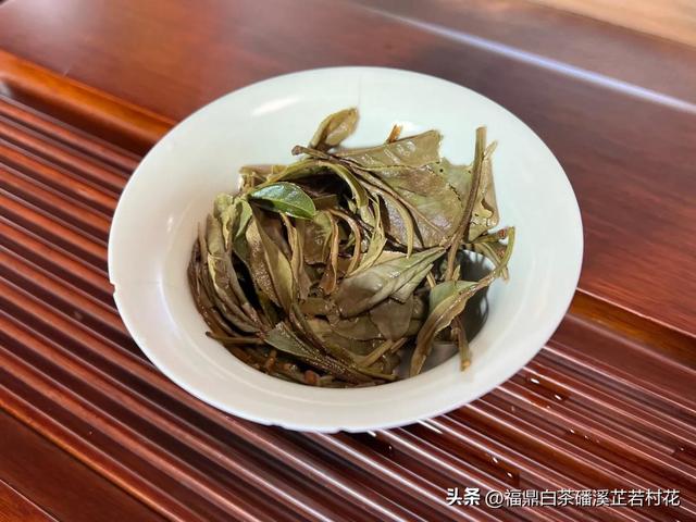 福鼎白茶产区磻溪，带你了解白茶优质产区，磻溪镇