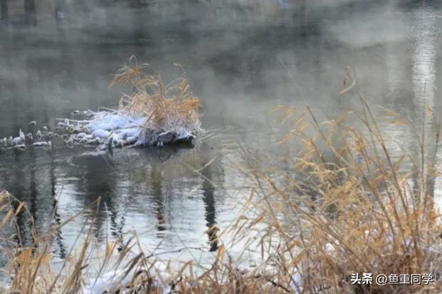 清明节气谚语有哪些 清明节的农事谚语和天气谚语，清明节气谚语有哪些（天气预报：重阳节将至）