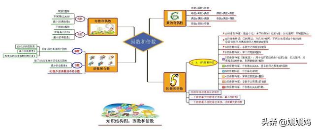 六下数学思维导图，六年级数学下册思维导图全部（人教版五年级数学下册各单元思维导图）