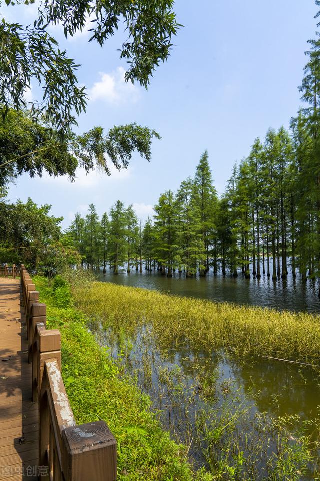 南京周边旅游景点推荐，南京周边自驾游（34个好玩又免费的宝藏公园）