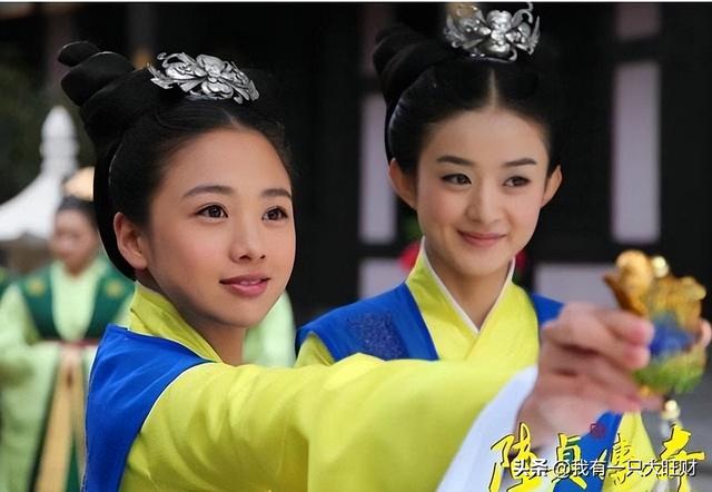 陆贞传奇剧情简介，电视剧陆贞传奇剧情介绍（《陆贞传奇》怕疼的何丹娘）