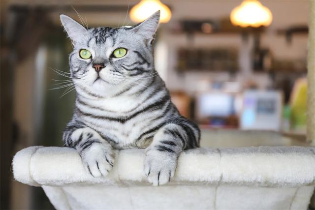 被欺负了怎么办，被人欺负怎么办（职场中，被领导欺负该怎么办）