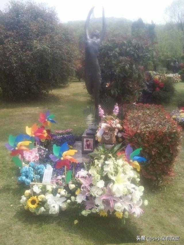 雾柳镇演员表介绍，雾柳镇的大红谁演的（《情深深雨濛濛》中的女三）