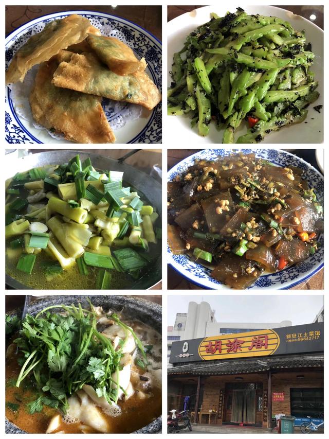 吃货进行曲歌词，吃货养成记：二零一九