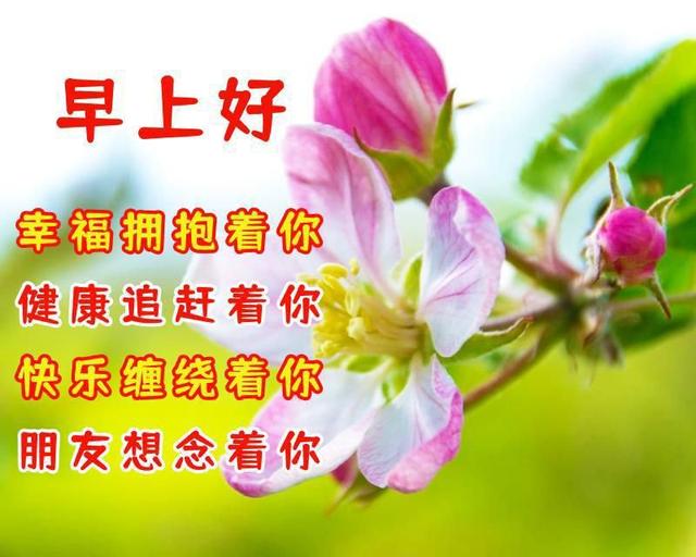 早上好温馨问候语，早上好问候语温馨美好的（非常温馨的早安祝福语）