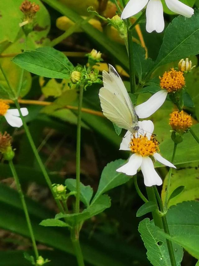 灵魂相似的人一旦相逢，灵魂相似的人一旦相逢是知心朋友（总有一天会在路上相逢）