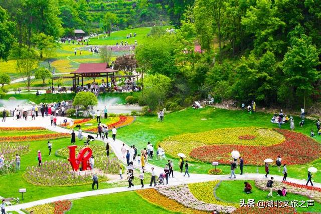 免费游湖北泡温泉，第8期：游花海、泡温泉