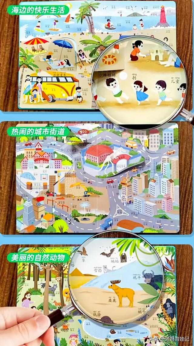 敏感期和关键期的区别，儿童的敏感期和关键期（家长明白其概念的本质）