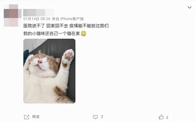 10公斤托运大概多少钱，飞机托运10公斤多少钱（过年多一手准备，多一分底气）