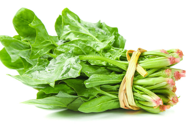 现在吃什么蔬菜好，处暑吃什么蔬菜好（建议多吃5种“冠军”蔬菜）