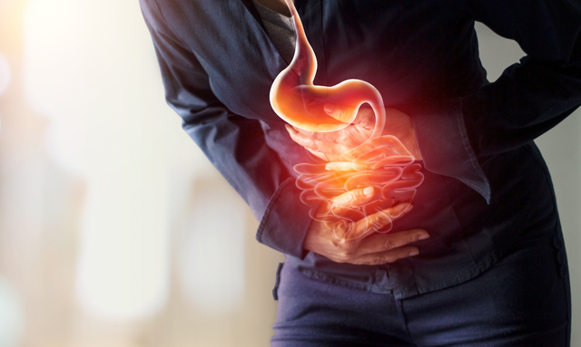 人体的九大系统分别是什么，人体有哪九大系统组成（胖一点是福气？NoNoNo）