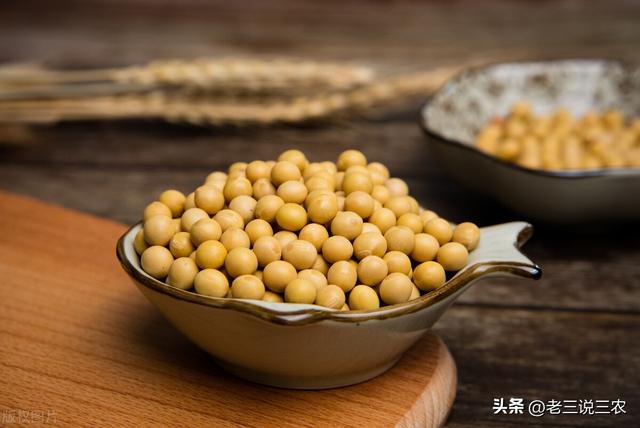 米糠的功效与作用，小米糠的功效与作用（医生告诉你答案，早知道早受益）
