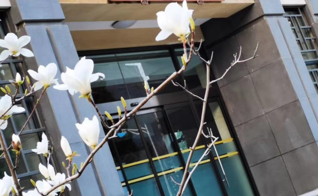 2021年文秘教育专业大学排名及全国最新排名，开设文秘专业的学校排名（全国师范类大学排名一览）