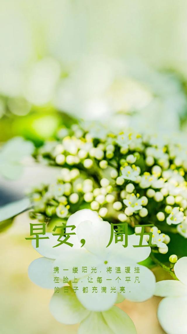 充满阳光正能量的文字图片，充满阳光正能量的说说配图（早安心语，正能量最美语录说说）