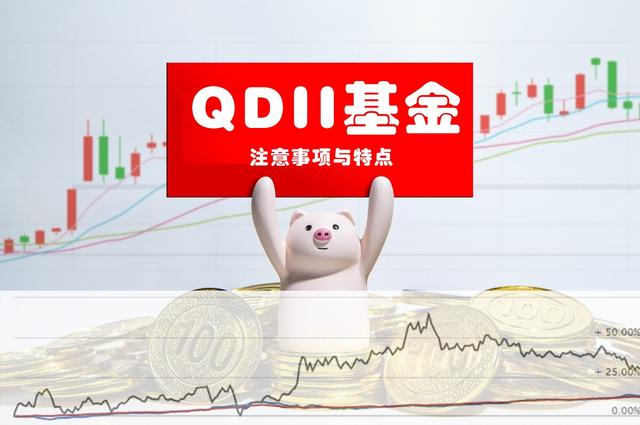 qdii基金的优点和缺点，QDII基金的特点（QDII基金可以投资全球的资产）