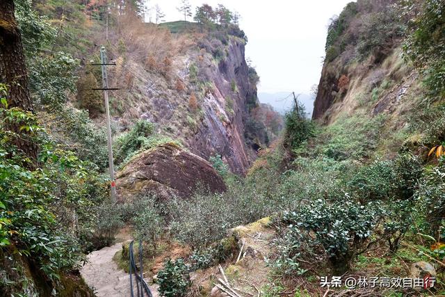 武夷山岩茶是什么茶，武夷山岩茶是什么茶?崇亮传播茶文化（我眼中的武夷山）