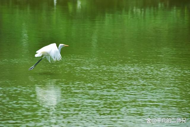 南昌旅游景点，南昌旅游景点有哪些（南昌——经典必去的游玩景点）