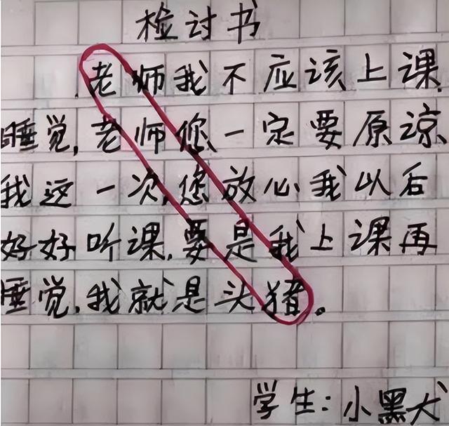 检讨书的正确格式图片，检讨书怎么写（小学生藏头诗式检讨书）