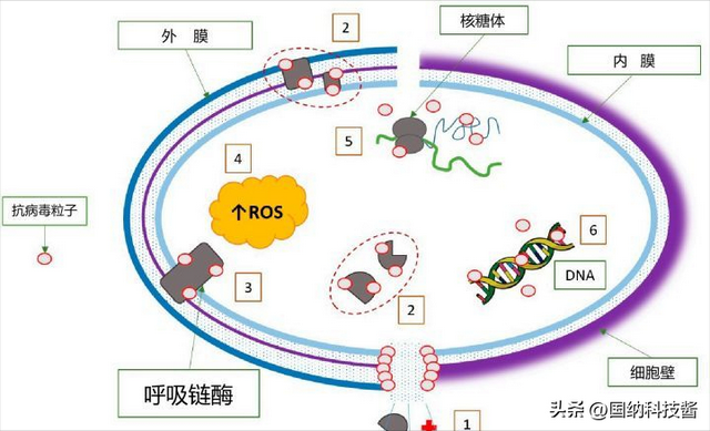 空气净化器的作用与功效，空气净化器的作用与功效净（选择怎样的空气净化器）